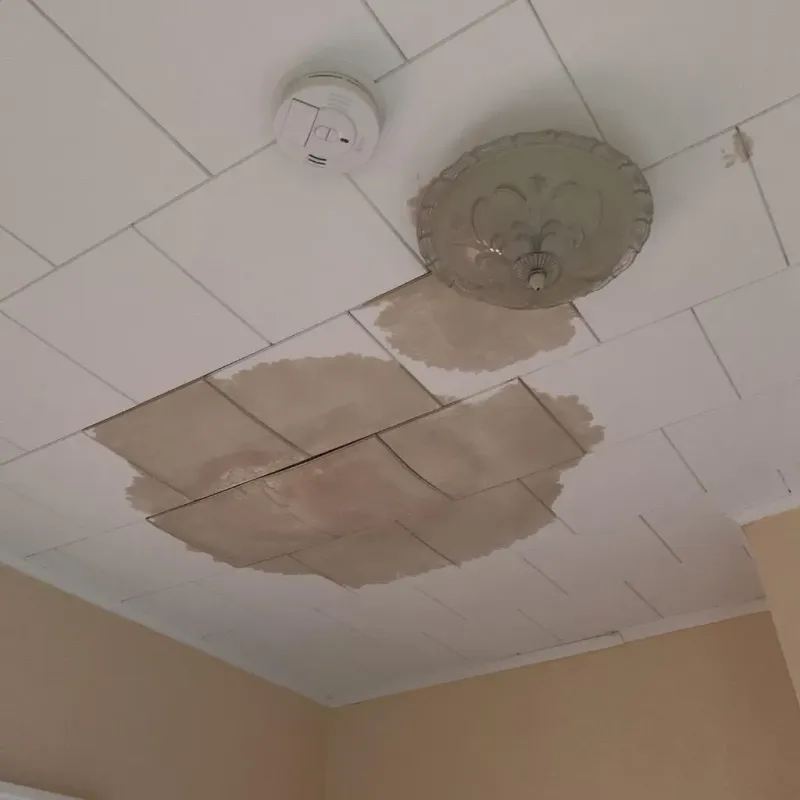 Ceiling Water Damage Repair in Mesquite, TX