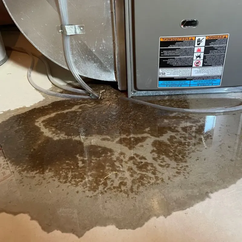Pipe Burst and Leak Restoration in Mesquite, TX