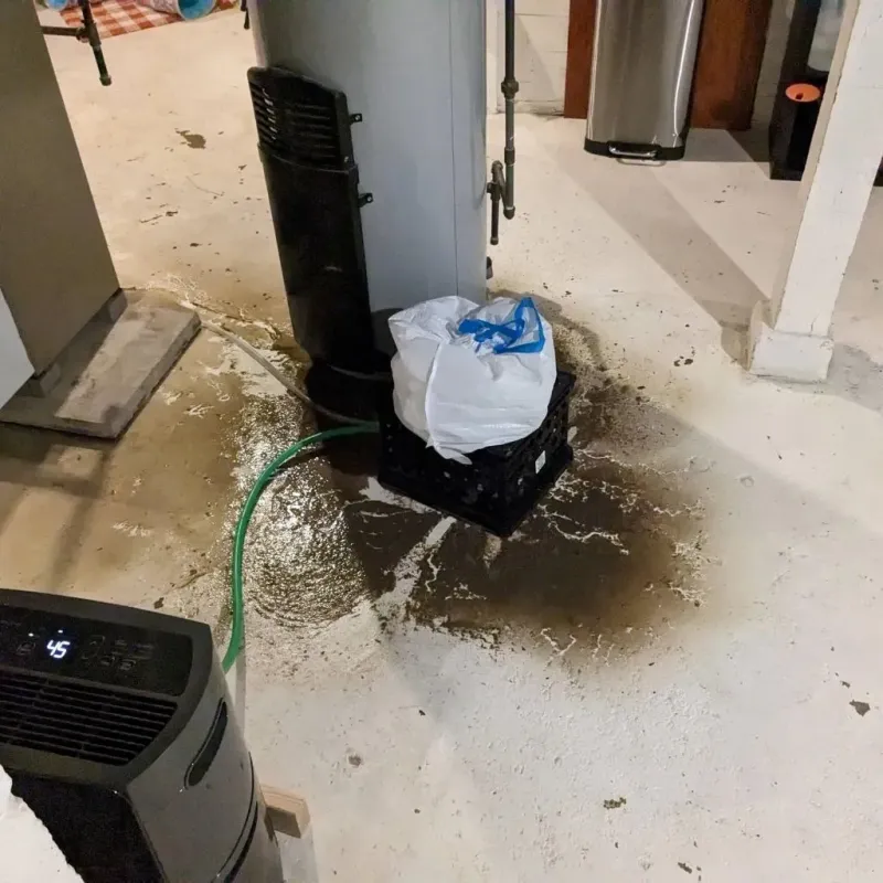 Sewage Backup Cleanup Service in Mesquite, TX